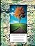 Composition Notebook: Tree ...
