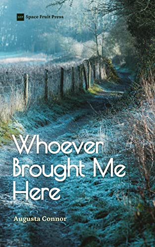 Whoever Brought Me Here (Kindle Edition)