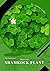 Shamrock Plant: Plant Guide