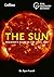 The Sun: Beginner's Guide to Our Local Star