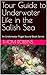 Tour Guide to Underwater Li...