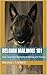 Belgian Malinois 101: Your ...