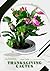 Thanksgiving cactus: Plant ...