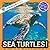 Sea Turtles!: A My Incredible World Picture Book for Children (My Incredible World: Nature and Animal Picture Books for Children)