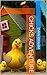 Chicks adventures