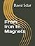 From Iron to Magnets