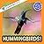 Hummingbirds!: A My Incredi...