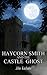 Haycorn Smith and the Castl...
