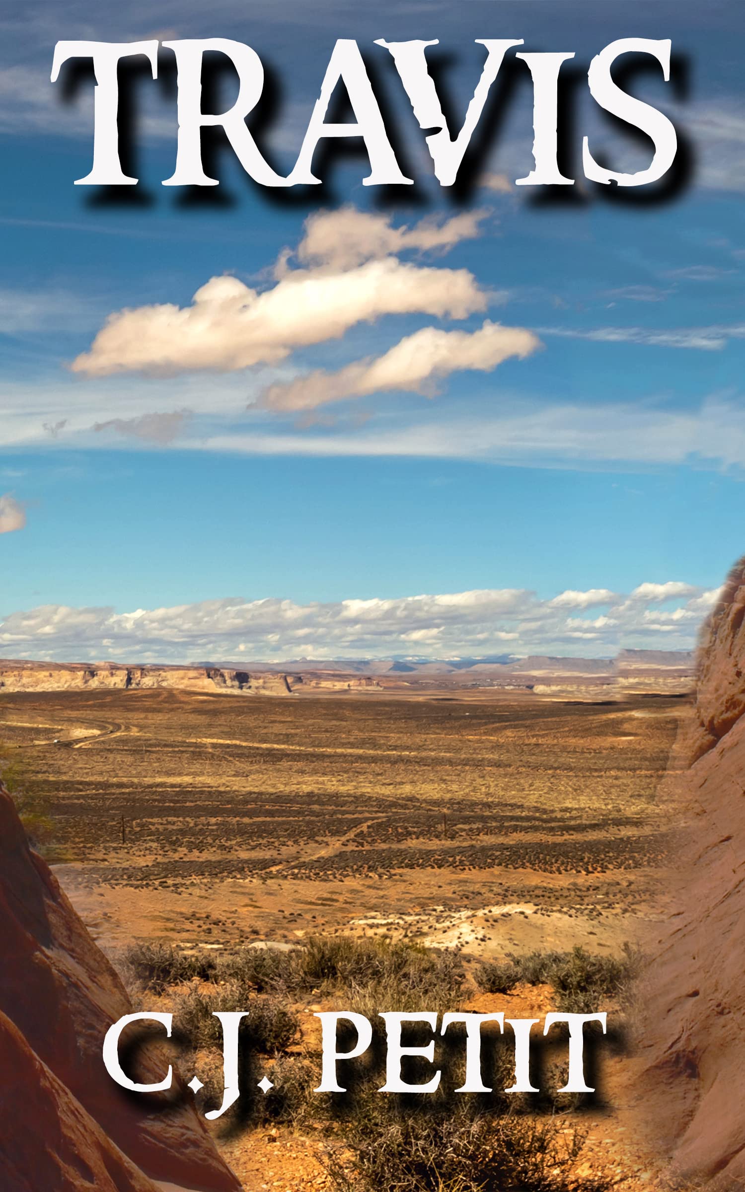 Travis (Kindle Edition)