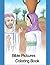 Bible Pictures Coloring Book