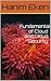 Fundamentals of Cloud and Cloud Security