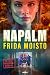Napalm (Lisa Engström, #3)