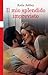 Il mio splendido imprevisto (Italian Edition)