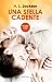 Una stella cadente (Italian Edition)