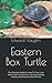 Eastern Box Turtle: The Ultimate Guide On How To Train Your Eastern Box Turtle (Care, Training, Feeding, Habitat, Breeding And Many More)