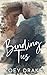Binding Ties: Silverbell Shore Novel