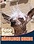 Hässliche Hunde Fotobuch: E...