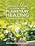 Genius Ideas for Planetary Healing by Lucille Whitaker