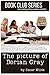 Book Club Series The Pictur...