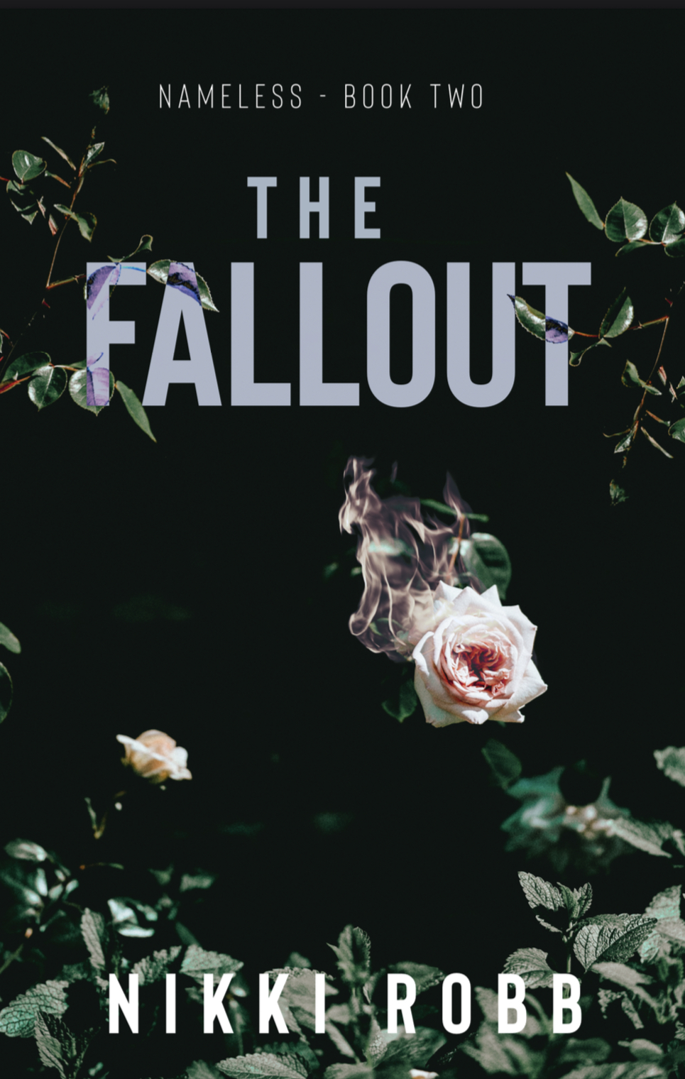The Fallout : Nameless- Book Two
