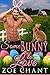 Somebunny to Love (Virtue S...