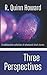 Three Perspectives by R. Quinn Howard