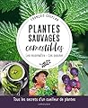 Plantes sauvages ...