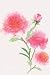 Pink Floral Notebook: Lined...