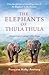 The Elephants of Thula Thula