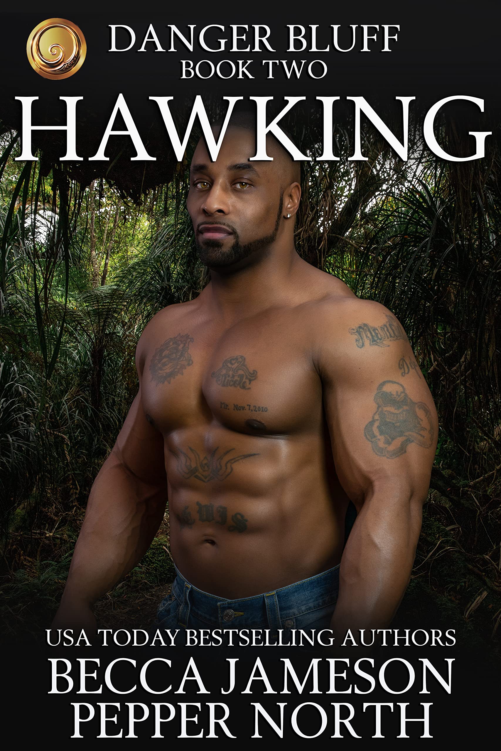 Hawking (Danger Bluff #2)