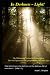 In Darkness - Light!: The M...