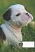 dog composition notebook wi...