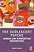 The Adolescent Psyche: Jungian and Winnicottian Perspectives (Routledge Mental Health Classic Editions)