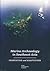 Marine Archaeology in Southeast Asia: Innovation and Adaptation
