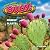 Ouch!: Prickly Plants