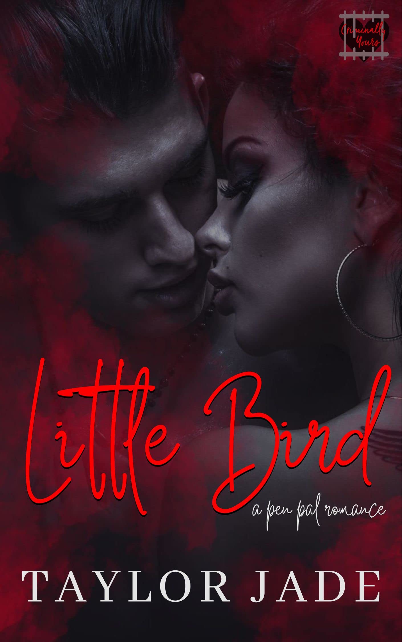 Little Bird: Criminally Yours (Kindle Edition)
