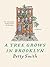 A Tree Grows in Brooklyn by Betty  Smith