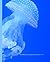 JELLY FISH COLLEGE RULED CO...