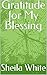 Gratitude for My Blessing