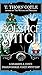 Solstice Witch: A Cozy Para...