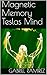Magnetic Memory Teslas Mind...