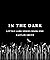 In the Dark (Little Lark #1)