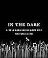 In the Dark