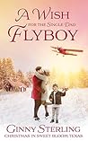 A Wish for the Single Dad Flyboy by Ginny Sterling
