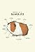 Anatomy Of A Guinea Pig Not...