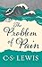 The Problem of Pain