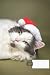 Cat Composition Notebook Wi...
