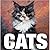 Cats by Caterina Gromis di Trana