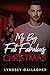 My Big Fat Fabulous Christmas by Lyndsey Gallagher