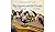 Rip Squeak and His Friends: A Rip Squeak® Book